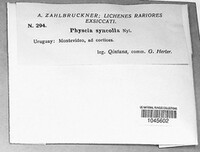 Image Associated With the Occurrence